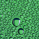 Condesación de agua en el interior de una botella + fondo verde