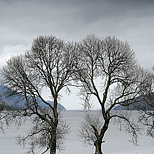 Fort Augustus - Lago Ness