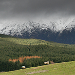 Ladera sur del Ben Nevis