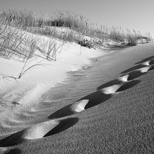 Dunas de Guincho 1/22