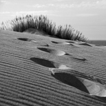 Dunas de Guincho 3/22