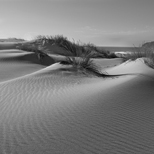 Dunas de Guincho 4/22