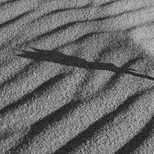 Dunas de Guincho 19/22